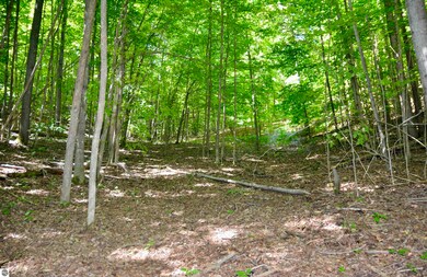 8080 S Sullivan Rd, Cedar, MI 49621 - photo 3