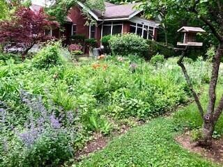 Front yard garden