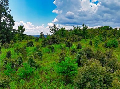 0 Shores Trail unit RTC3000429, Stewart, TN 37175 - photo 6