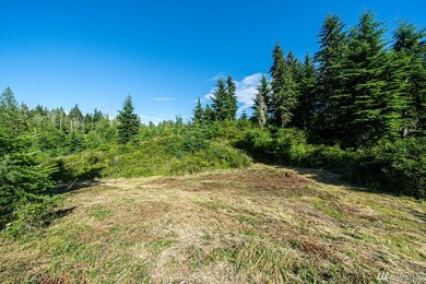 0 Hawkins Way unit 1620876, Langley, WA 98260 - photo 7