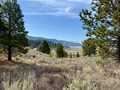 Southern Lot Endless Mountain Potential
