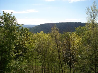 View-Summer