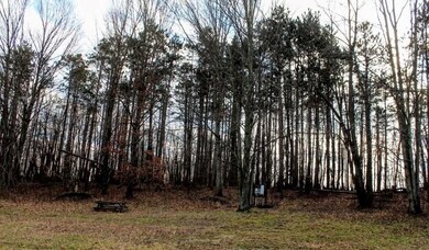 deer hunting