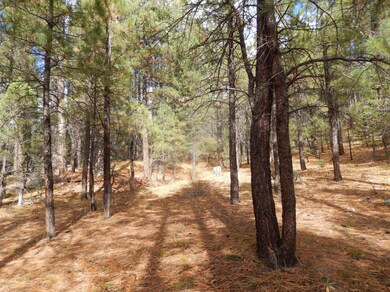 The Property