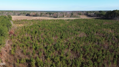 0 Duke Valentine Wynne Rd unit 10133928, Louisburg, NC 27549 - photo 6