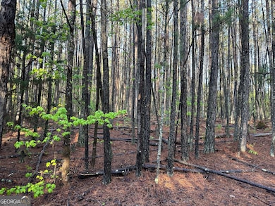 1433 Cleveland Farm Rd, Locust Grove, GA 30248 - photo 4