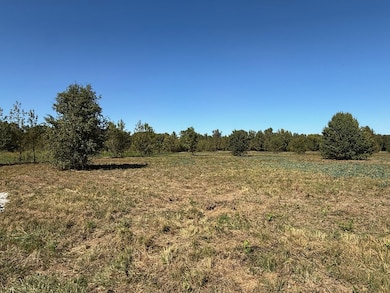 TBD Deerfield Ln, New Boston, TX 75570 - photo 2