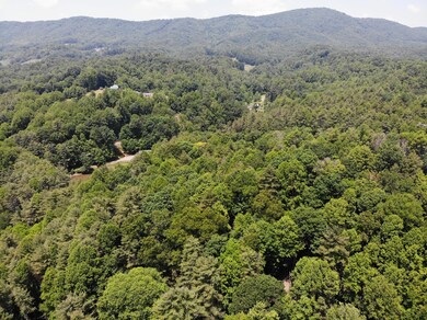 DJI_0943