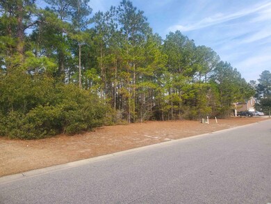 716 Chisholm Rd unit Lot 69, Myrtle Beach, SC 29579 - photo 5