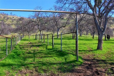 160 Ac Cotton Creek Rd, Mariposa, CA 95338 - photo 5