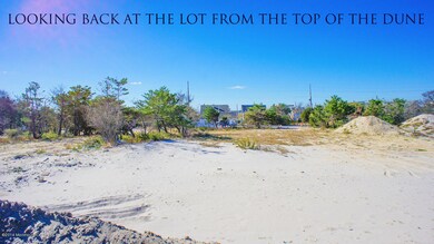 1029 Ocean Ave, Mantoloking, NJ 08738 - photo 7