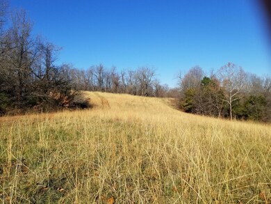 Schlessman-pasture