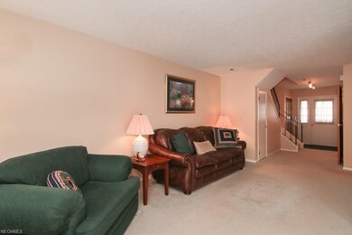 1790 Rolling Hills Dr unit D, Twinsburg, OH 44087 - photo 6