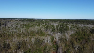 Drone horizon