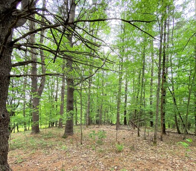 unlisted-address, Conway, MA 01341 - photo 4