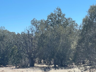 00 Stockmans Rd, Ash Fork, AZ 86320 - photo 4