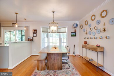 7004 Polins Ct, Alexandria, VA 22306 - photo 5