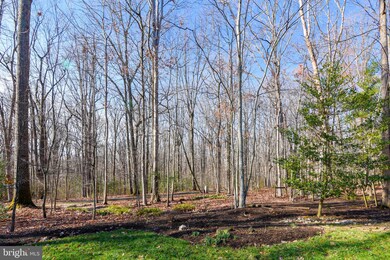 2420 Silver Fox Ln, Reston, VA 20191 - photo 6