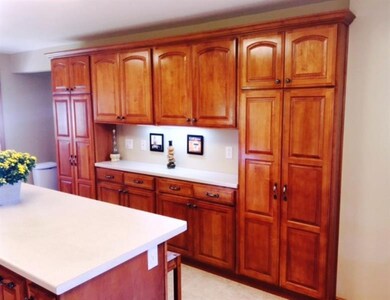 This wall of cabinetry features not one but two pa
