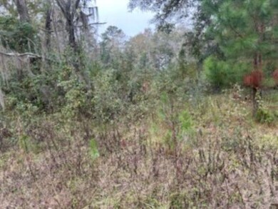 0 Moccasin Gap Rd unit 393441, Tallahassee, FL 32309 - photo 3