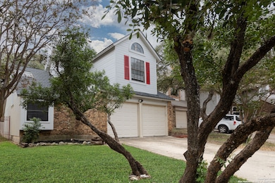 4206 Birch Tree St, San Antonio, TX 78247 - photo 4