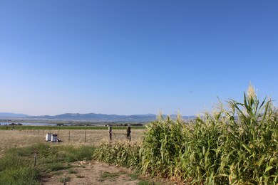 IMG_1966 (3)