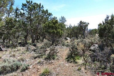 0 NE Ginters Grove Ln unit 703702, Cedaredge, CO 81413 - photo 3