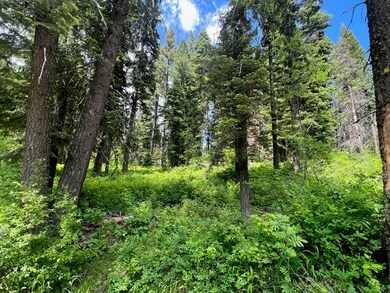 TBD Grouse Trail unit 6A-57, Donnelly, ID 83615 - photo 4
