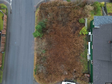 Lot 1, Block 16 3rd Ave, Ketchikan, AK 99901 - photo 2
