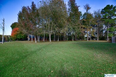 The lot adjacent to the property is included.  You