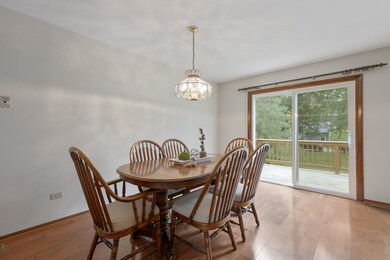 23 Lake Dr, Lake In the Hills, IL 60156 - photo 7