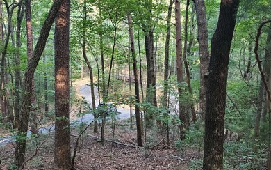 Additional View