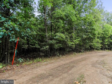 0 Somers Ln, Berkeley Springs, WV 25411 - photo 3