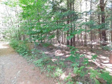 0 Slicker Rd unit Shippee Rd Rear, Day, NY 12822 - photo 2