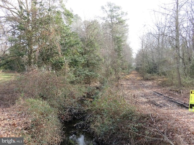 42 Mt Joy Rd and Rolling Rd, Millsboro, DE 19966 - photo 5