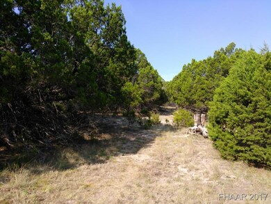 2781 Bradford Dr, Copperas Cove, TX 76522 - photo 2