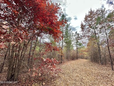 2 County Road 3122, McCool, MS 39108 - photo 5