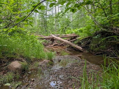 80 Acres Near Tar Paper Aly, Orienta, WI 54820 - photo 2