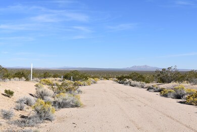 0 Hansen St & Munivez St unit 25009178, California City, CA 93505 - photo 3