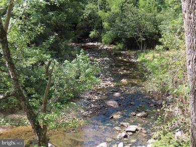 0 Tiger Valley Rd unit VARP2002288, Washington, VA 22747 - photo 3