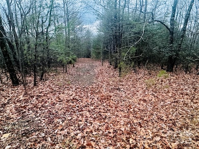 000 Raven Ridge Trail, Dobson, NC 27017 - photo 2