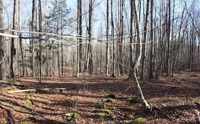 423 Hadley Rd, Stony Creek, NY 12878 - photo 6