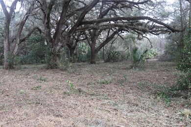 1220 U S 41, Dunnellon, FL - photo 2