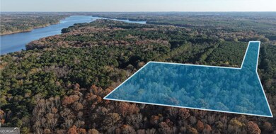 LOT #1 S Hampton Annex, Hampton, GA 30228 - photo 3