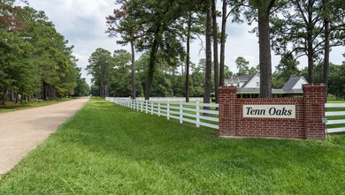 25092 Tenn Oaks Rd, Hockley, TX 77447 - photo 2