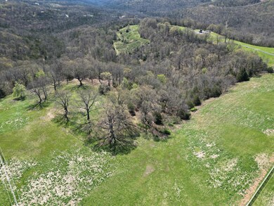 dji_fly_20240404_110326_63_1712247359974