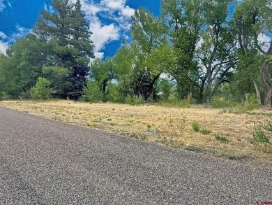 0 Highway 160, South Fork, CO 81154 - photo 5