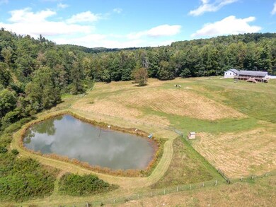 446 Good Neighbors Rd NE, Check, VA 24072 - photo 7