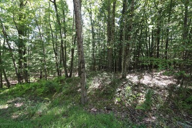 159 Majestic Dr, Chestnuthill Township, PA 18353 - photo 4