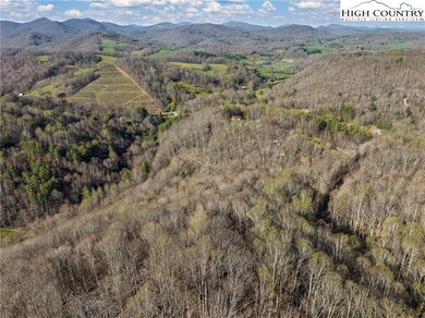 TBD Cobbs Creek Rd, Meat Camp, NC 28607 - photo 4